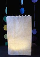 Quasimoon White Paper Luminaries / Luminary Lantern Bags Path Lighting (10 PACK) by PaperLanternStore N3