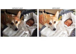 LED High Power Video Light (Super Bright) For Sony Handycam DCR-DVD205 (Includes Mounting Brackets)