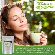 MatchaDNA Organic Culinary Matcha Green Tea Powder 16 oz N18