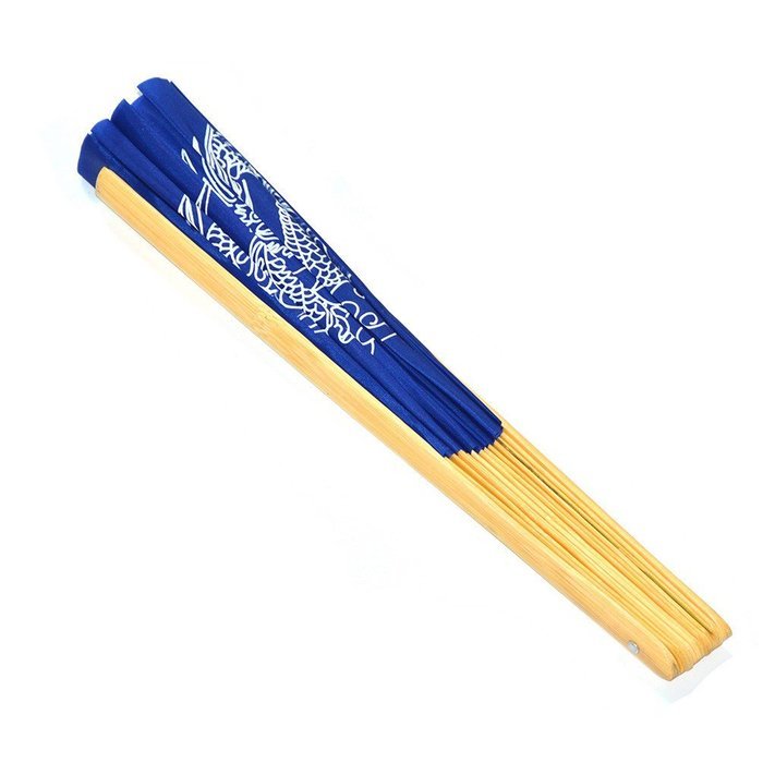 Chinese Kung Fu Tai Chi Fan Arts Dance/Practice Performance Bamboo Folding Fan (Dragon And Phoenix blue background) N14