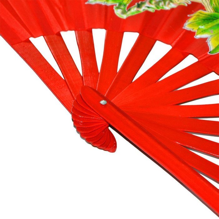 Chinese Kung Fu Tai Chi Fan Arts Dance/Practice Performance Bamboo Folding Fan (Dragon And Phoenix blue background) N24