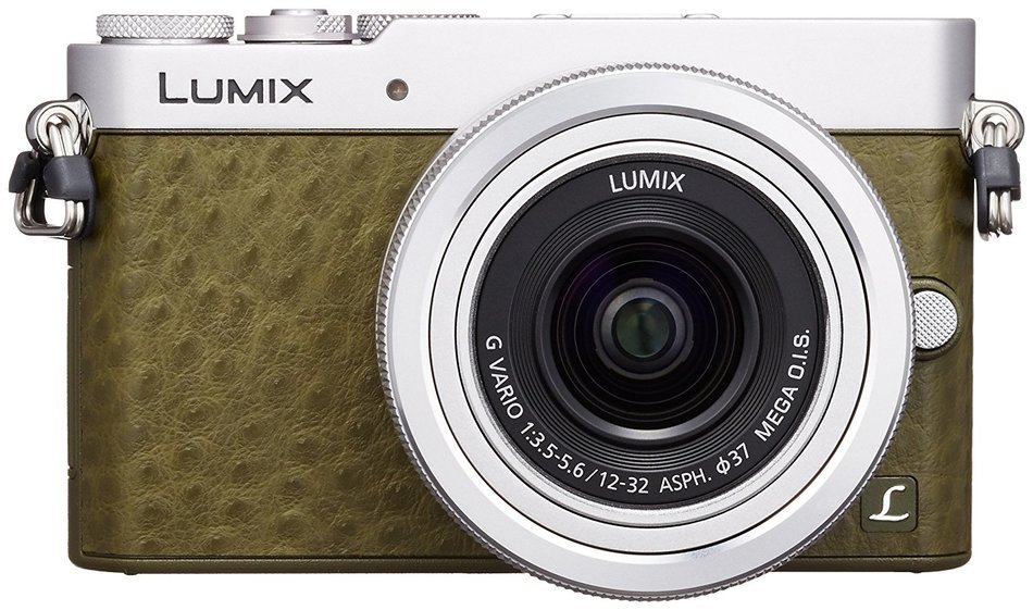 Panasonic LUMIX DMC-GM5 DSLM Mirrorless Camera with Eye Viewfinder, 12-32mm Lens Kit (Black) - International Version... N10