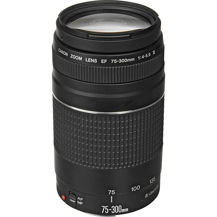 Canon EOS Rebel T6s DSLR Camera + Canon 18-135mm IS STM Lens + Canon 75-300mm Lens + Canon Speedlite 430EX III... N6