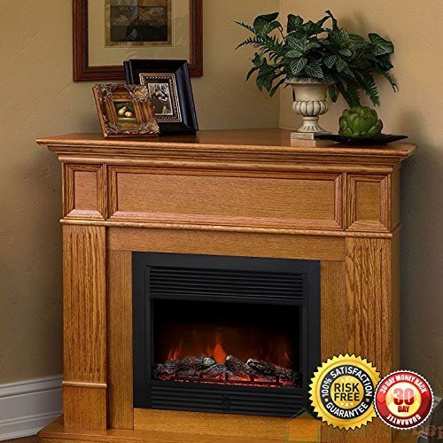 New 28.5" Embedded Fireplace Electric Insert Heater Glass View Log Flame Remote Home N5
