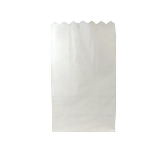 Quasimoon White Paper Luminaries / Luminary Lantern Bags Path Lighting (10 PACK) by PaperLanternStore N2