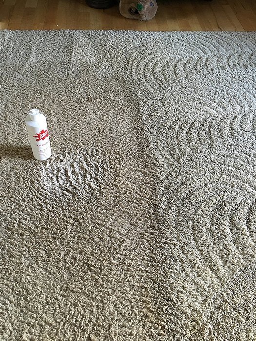 Not Your Average Carpet Cleaner! Pro Spot 32oz. Made in USA
