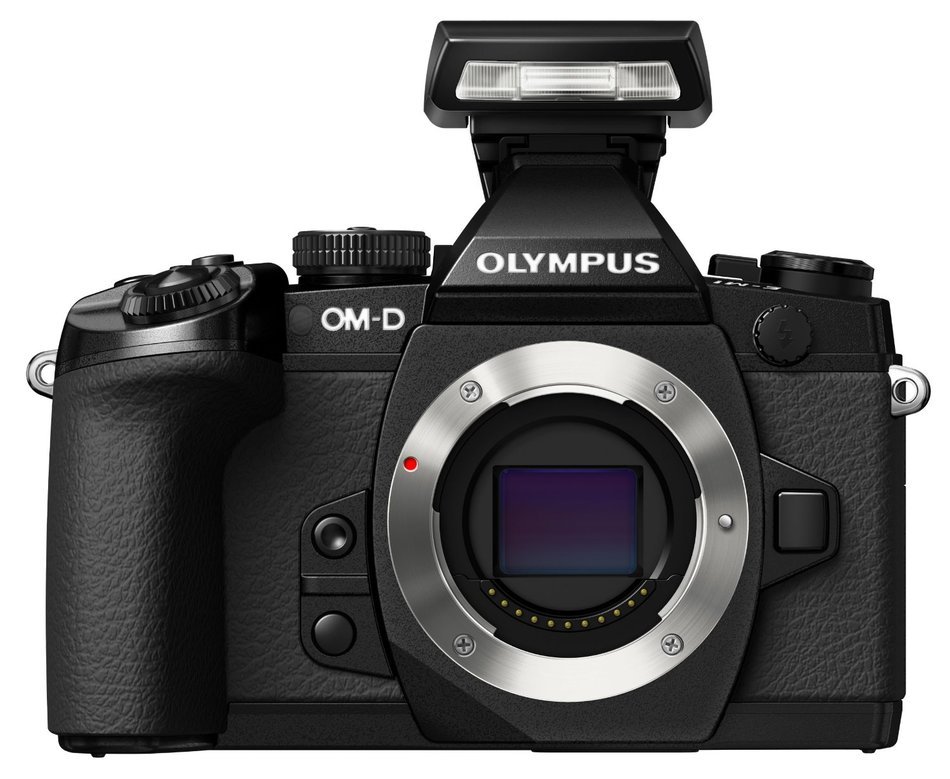 Olympus OM-D E-M1 Mirrorless Camera with Olympus M. Zuiko Digital ED 12-40mm f/2.8 PRO Lens N5