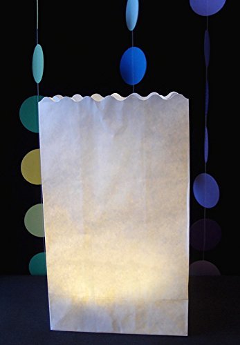 Quasimoon White Paper Luminaries / Luminary Lantern Bags Path Lighting (10 PACK) by PaperLanternStore N3