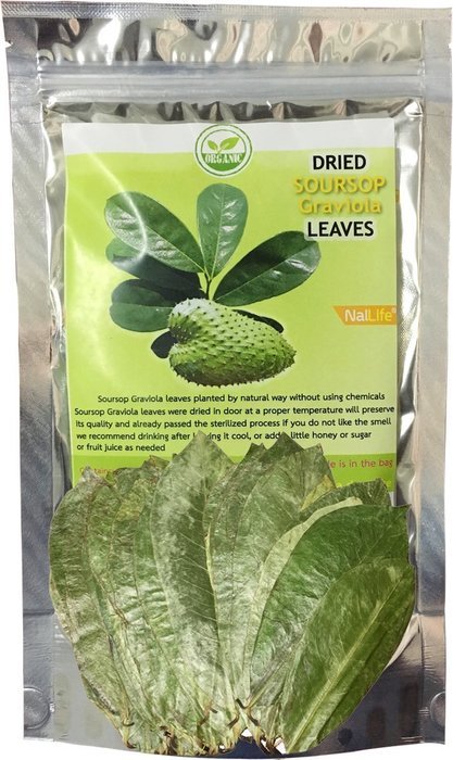 NalLife Soursop Graviola Leaves for Tea Pack of 80 Leaves