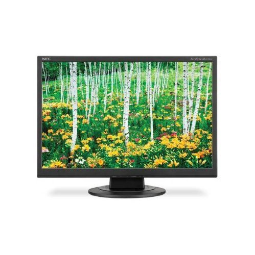 NEC AccuSync AS221WM-BK 22 inch Widescreen 1,000:1 5ms VGA/DVI LCD Monitor, w/ Speakers (Black)