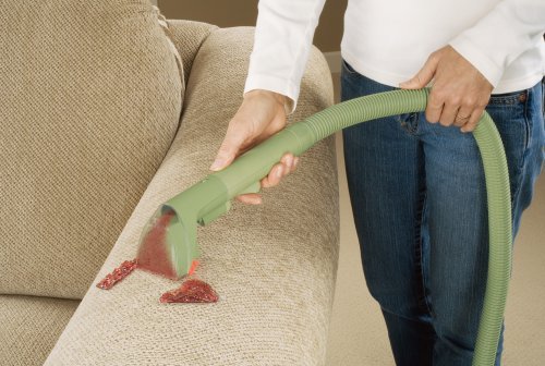 BISSELL 1400B Multi-Purpose Portable Carpet Cleaner, Green N2