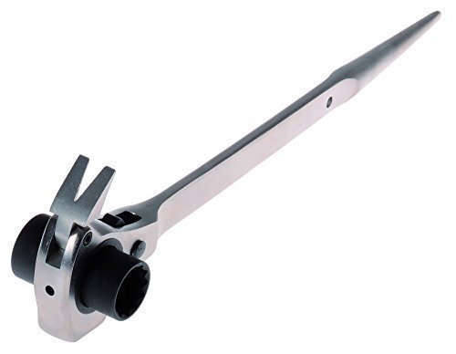 Projahn 2319221 Scaffold Spanner 19 x 22 mm with Hammer and Nail Puller Function by Projahn