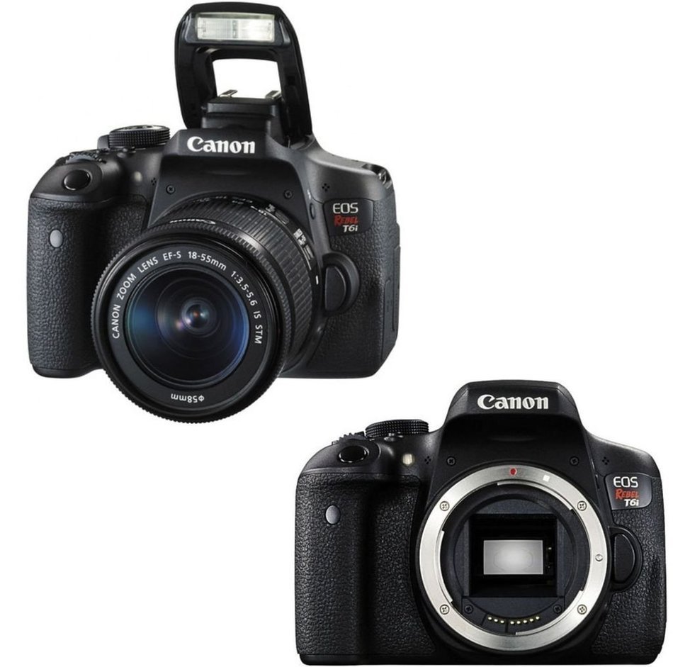 Canon EOS T6i DSLR Camera Kit + Canon EF 24-105mm L (Glass Element) Lens + 1 Year Warranty + 2 32GB Transcend... N6