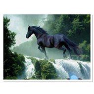 EverTrust(TM) New Fashion Diamond Embroidery Animals Horse Modern Full Square Resin Paintings Handmade Cross-stitch...