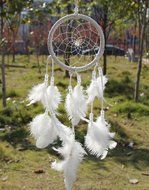 Creazy Handmade Dream Catcher Circular Net With feathers Wall Hanging Decoration Decor Ornament Craft Gift (White) N3