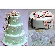 Sher 4 Plum Fondant Cake Decorating Mold Printing