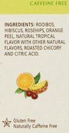 Celestial Seasonings Cool Brew Tropical Fruit Iced Herbal Tea Caffeine Free -- 40 Tea Bags N3