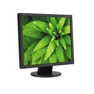 19 NEC Display AccuSync AS192 1280x1024 LED LCD Black Monitor AS192-BK
