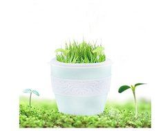 ASIBT Anion Ultrasonic Flower Pot Humidifier/Diffuser-235ml Air Purifier, USB Powered with Auto On/Off For Home...