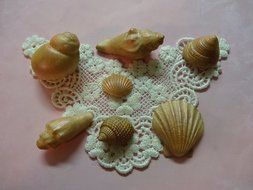 Complete Sea Shells, Silicone Mold By Oh! Sweet Art FDA Approved for Food