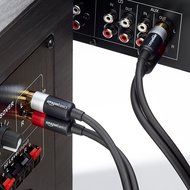 AmazonBasics 2-Male to 2-Male RCA Audio Cable - 15 Feet N7