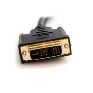 StarTech.com 1 ft DVI-D to 2x DVI-D Digital Video Splitter Cable - M/F N9