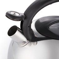 Stainless Steel Tea Kettle with Whistle, 5-Quart N2