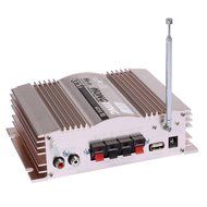 HONGXING AX-5 3 in 1 Hi-Fi Stereo Audio Power Amp USB SD FM Car Amplifier LED Display Amplifier Gold