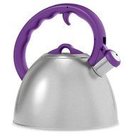Remedy Metro 1.5 quart Tea Kettle, Burnt Orange N4