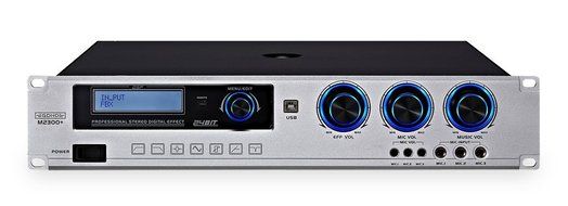 GDHD M2300+ Professional Karaoke Mixing Amplifier 300W Each Channel