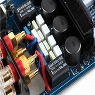 MUSE M20 EX2 TA2020 T-Amp Mini Stereo Amplifier 20WX2 - Gold N2