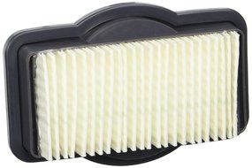 Royal Dirt Devil Filter, Cordless Rechargeable Broom F19 Bv2030 (Pack of 2)