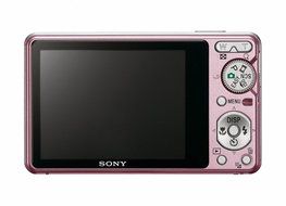 Sony Cybershot DSC-S950 10MP Digital Camera with 4x Optical Zoom with Super Steady Shot Image Stabilization (Silver) N12
