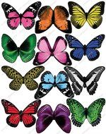 Cakeshop 12 x PRE-CUT Mixed Color Edible Butterfly Cake Toppers N2