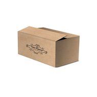 Home-organizer Tech Natural Air Purifying Bags /Charcoal Air Purifier Bags for Shoe Deodorizer , Gym Bags, Sporting...