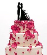 Ecape Wedding Cake Toppers Acrylic Bride and Groom Bridal Cake Toppers with Art Words Mr and Mrs for Cake Decoration N9