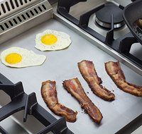AGA APRO48DFSS 48" Professional Dual Fuel Range with RapidBake Convection, Stainless Steel N2