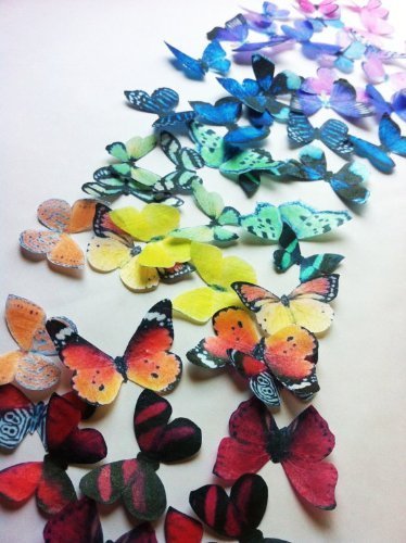 Edible Butterflies &copy; - Small Assorted Raibow Collection Set of 50- Cake and Cupcake Toppers, Decoration