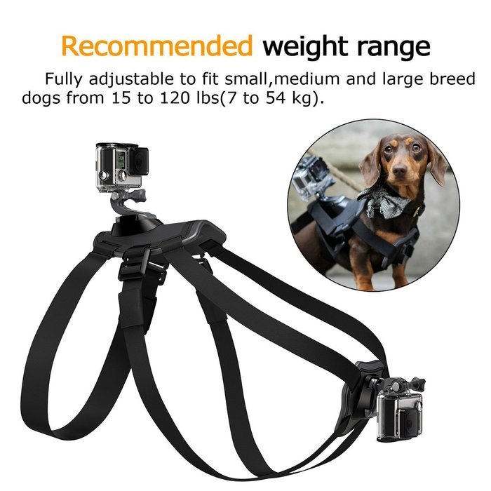 dOvOb Action Camera Mount Connection to 1/4 inch 20 Adapter Mount for Gopro DBPower Lightdow N59