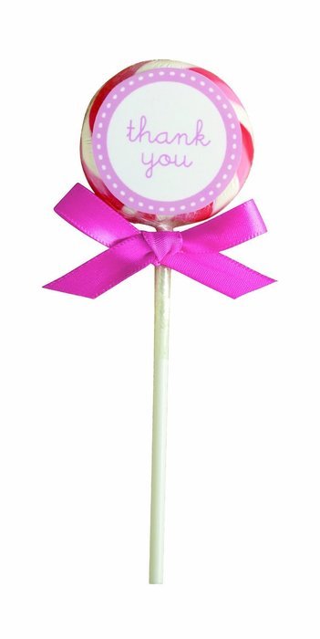 Wilton Pink Candy Favor Kit N3