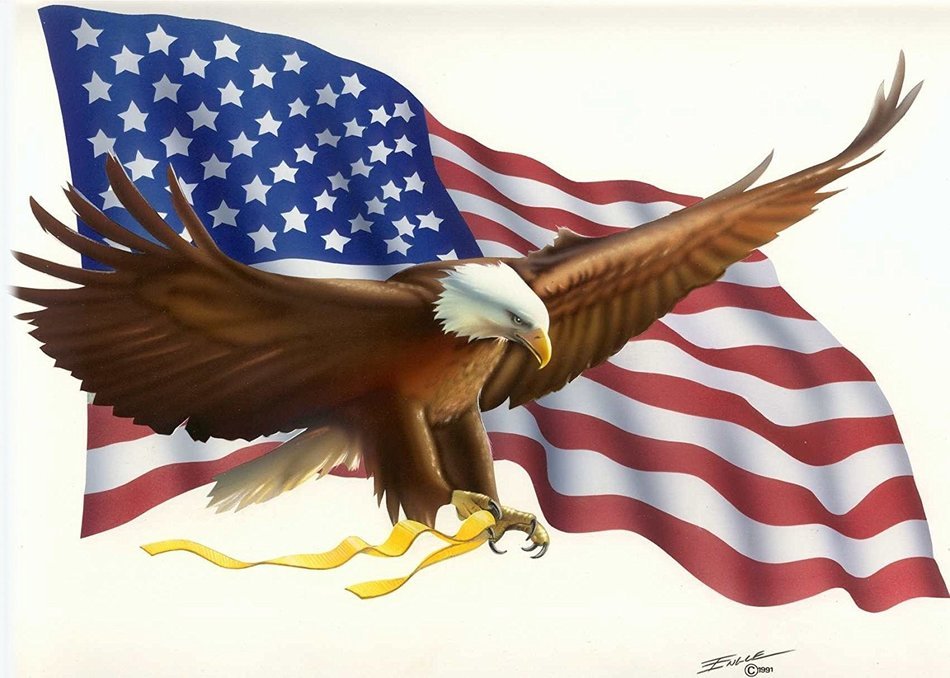 Bald Eagle Flying Over US Flag ~ Edible Image Cake Topper