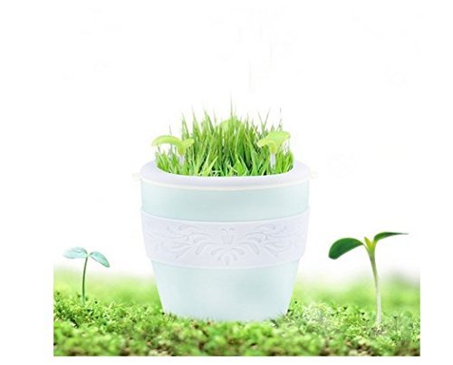 ASIBT Anion Ultrasonic Flower Pot Humidifier/Diffuser-235ml Air Purifier, USB Powered with Auto On/Off For Home...