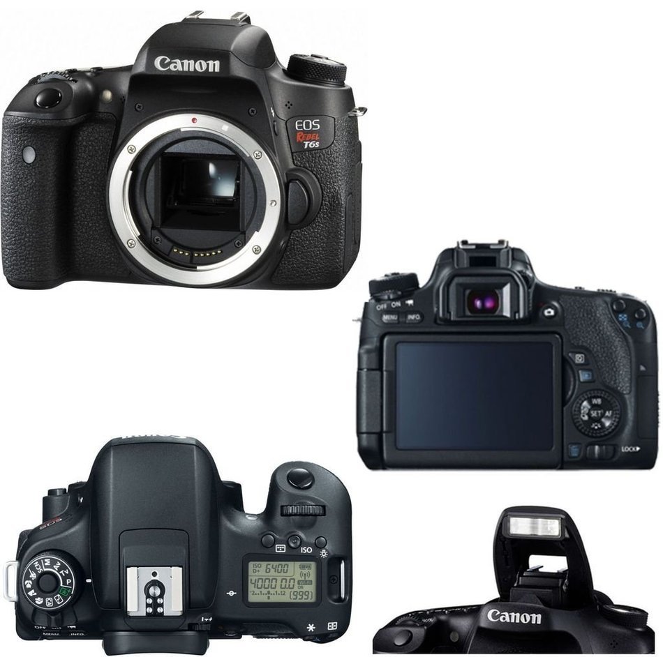 Canon EOS T6s + Canon EF 24-105mm f/4L IS USM Lens + Canon 50mm STM + 32GB Transcend SD Memory Cards + LED Video...