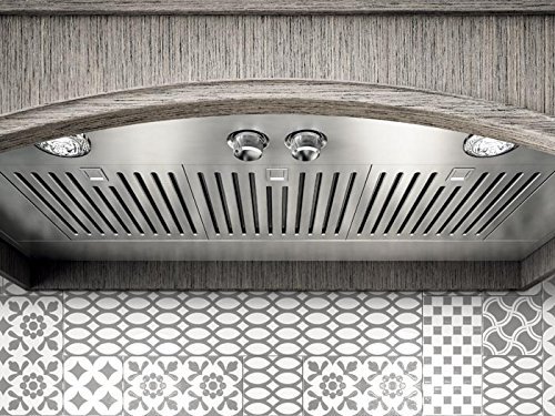 INSERTS-AREZZO All In One Insert; 4 Speed Internal Blower, Halogen Lamps, Professional Style; Baffle Slot Filters... N2