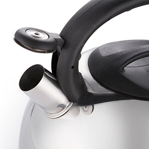 Stainless Steel Tea Kettle with Whistle, 5-Quart N2