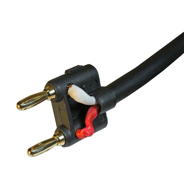 12 Gauge Speaker Cable with Banana and Quarter Inch(1/4") Connectors (6ft) N8