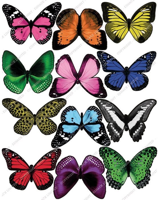 Cakeshop 12 x PRE-CUT Mixed Color Edible Butterfly Cake Toppers N2