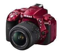 Nikon D5300 DX-format Digital SLR Kit w/ 18-55mm VR II and 55-300mm VR Lens Kit (Black) N20