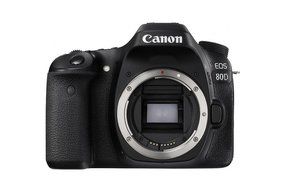 Canon EOS 80D DSLR Camera + Canon 18-200mm IS Lens + Canon 75-300mm Lens + 0.43X Wide Angle Lens + 2.2x Telephoto... N2