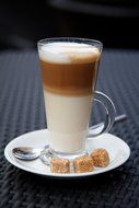 Speedy Electric Milk Frother Cappuccino Latte Maker &amp; Coffee Chocolate Mixer High Quality Machine comes with Tea...